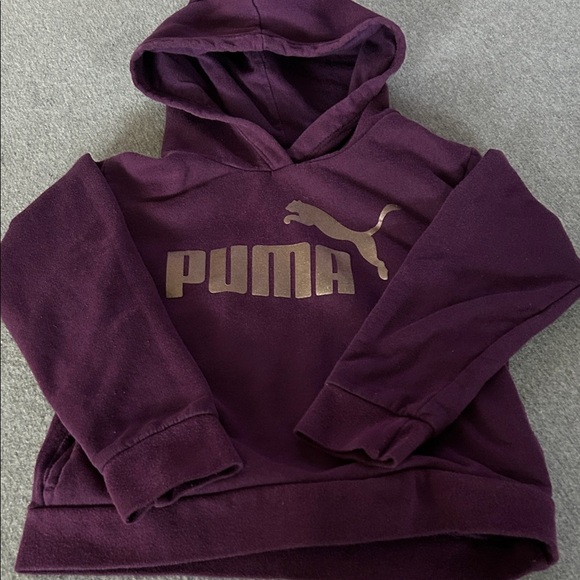 Puma Deep Purple Hoodie with Gold Logo - Picture 1 of 2